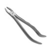 111P-SPECIAL-EXTRACT-Zahnzange-Schneidezaehne-und-Eckzaehne-ergonomische-Dentalinstrumente-fuer-Frauen