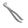 1174P-EXTRACT-1100-Zahnzange-74-Schneide-und-Eckzaehne-ergonomische-Dentalinstrumente-Frauen