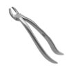 1219P-SPECIAL-EXTRACT-Zahnzange-Dritte-Molaren-ergonomische-Dentalinstrumente-fuer-Frauen