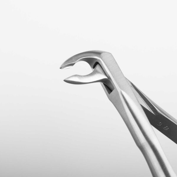 1274-EPS-Maul-1920x1920