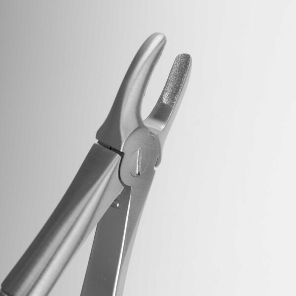 400-1-D-Zangenmaul-1920x1920