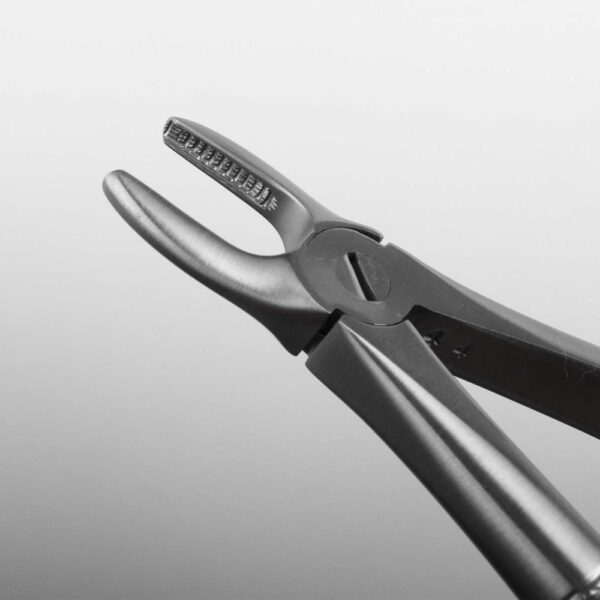 400-2-H-Zahnzange-Maul-1920x1920