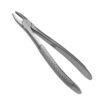 500-37-KIDS-EXTRACT-Zahnzange-37-Schneide-und-Eckzaehne-ergonomische-Dentalinstrumente-fuer-Frauen