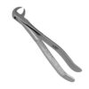 586-SPECIAL-EXTRACT-Zahnzange-Molaren-ergonomische-Dentalinstrumente-fuer-Frauen