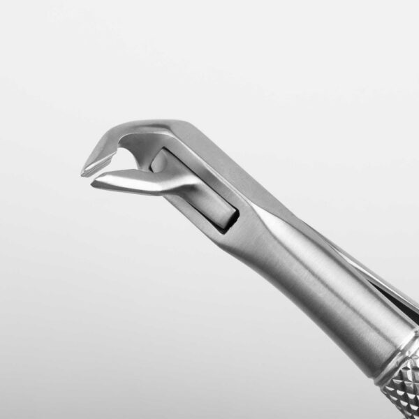 1174-XN-Maul-1920x1920