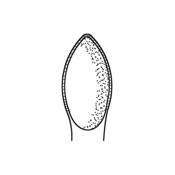 1274ES-EXTRACT-1200-Zahnzange-74-E-Wurzeln-gerieft-ergonomische-Dentalinstrumente-Frauen-CAD