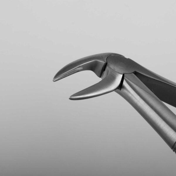 1290-Maul-Zahnung-1920x1920