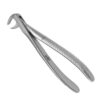 500-73-500-Zahnzange-73-Molaren-ergonomische-Dentalinstrumente-fuer-Frauen