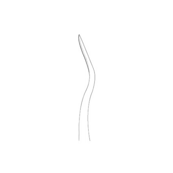 750-06-Mini-Periolux-5-0-mm-distal-H-Type-D-ergonomische-Dentalinstrumente-fuer-Frauen-CAD