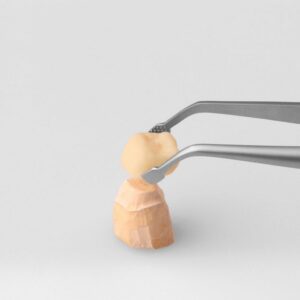 2230-20F-Universal-Fasspinzette-RS-TW-ergonomische-Dentalinstrumente-fuer-Frauen-mit-Krone