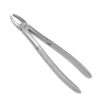 400-29H-400-Zahnzange-29-Wurzeln-ergonomische-Dentalinstrumente-fuer-Frauen