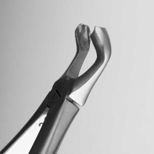 400-79-D-Maul-1920x1920