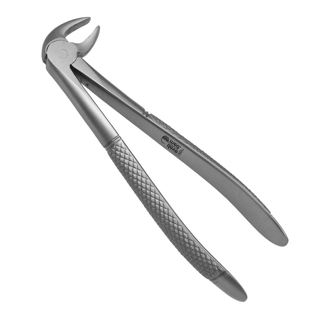 500-13-500-Zahnzange-13-Praemolaren-ergonomische-Dentalinstrumente-fuer-Frauen