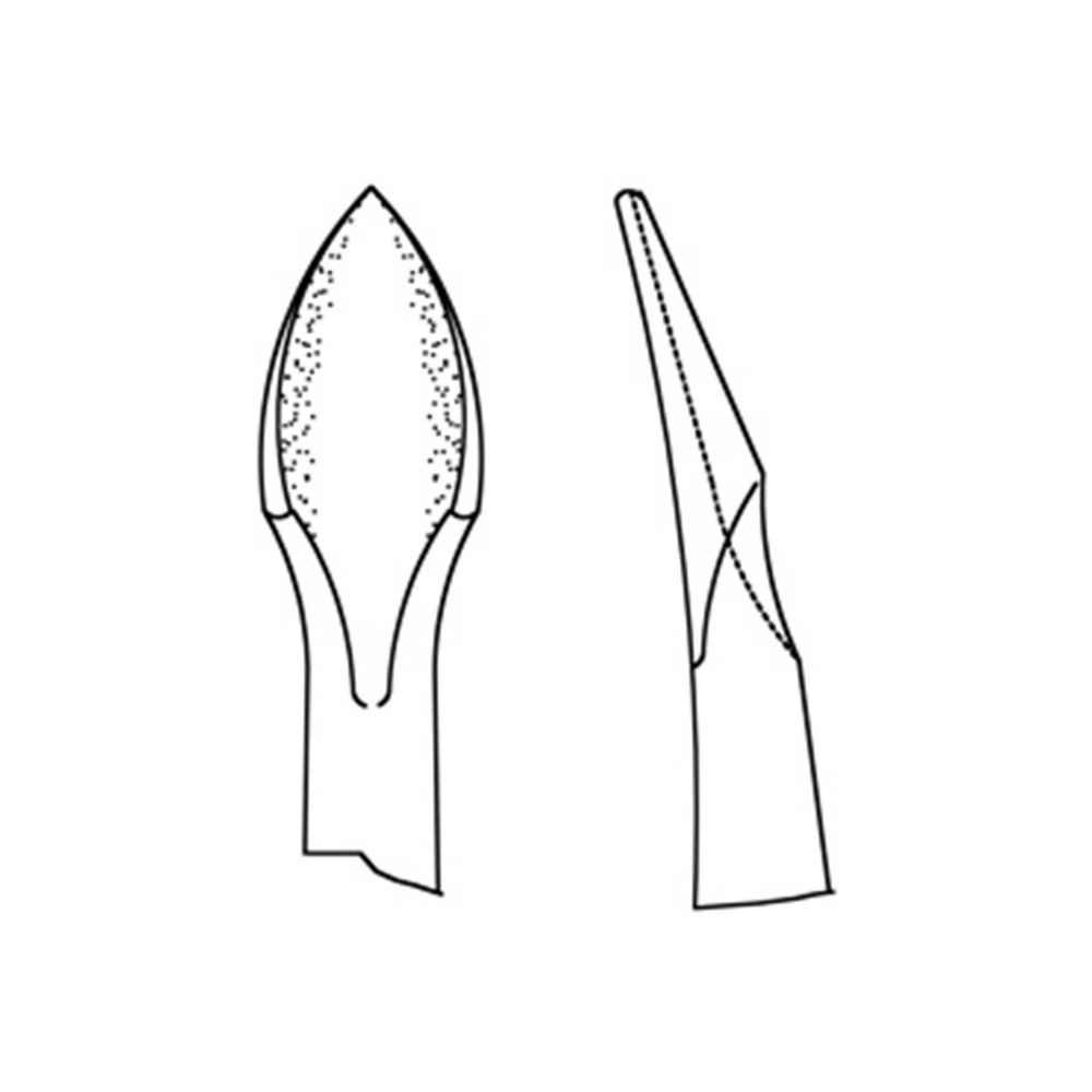 63-Wurzelheber-Bernard-mod-21-4-0-mm-H-Type-A-ergonomische-Dentalinstrumente-fuer-Frauen-CAD