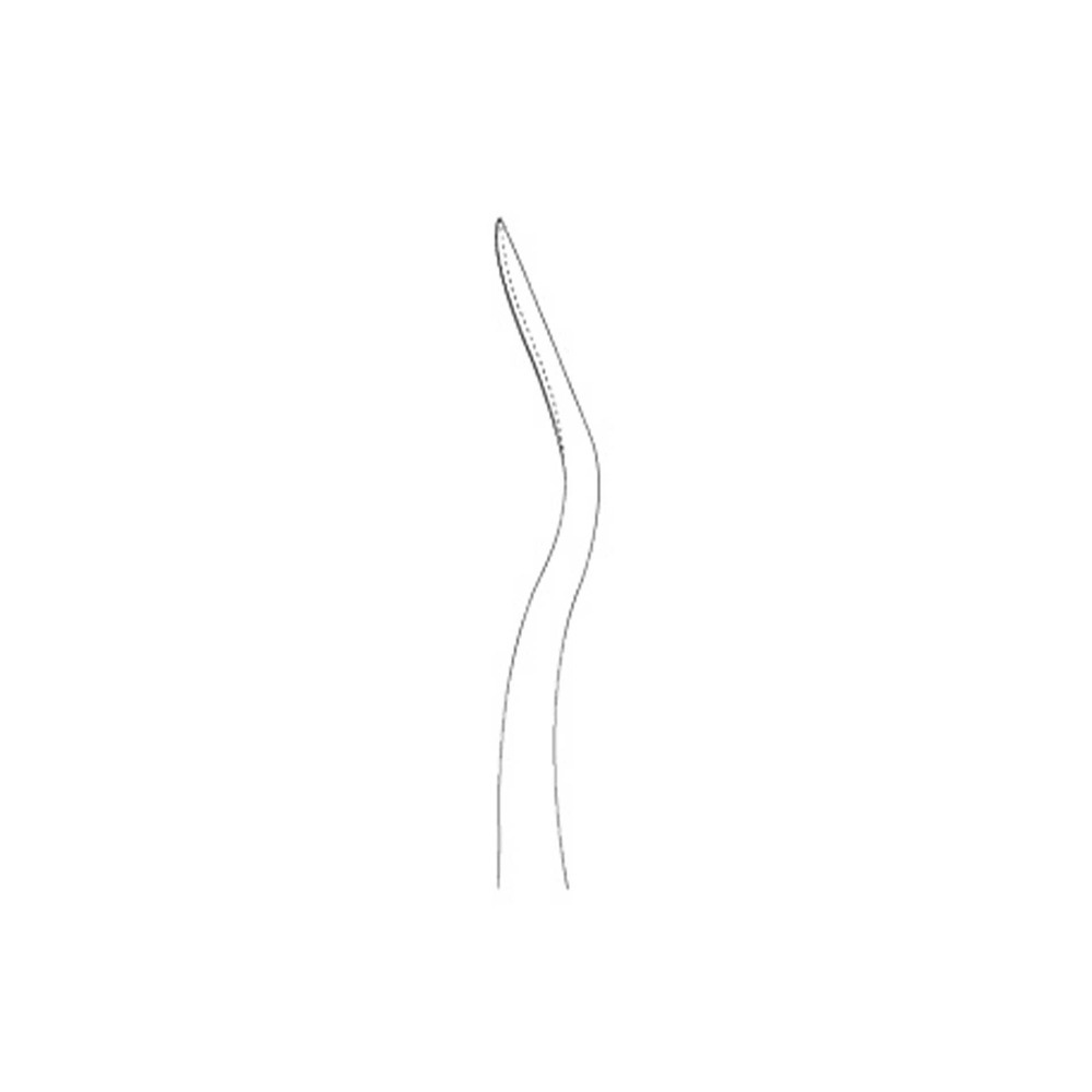 750-06-Mini-Periolux-5-0-mm-distal-H-Type-D-ergonomische-Dentalinstrumente-fuer-Frauen-CAD
