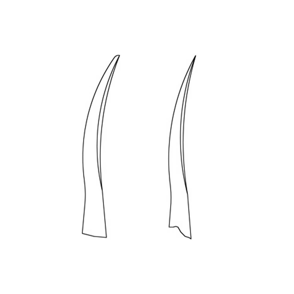 888-30F-Raspatorium-Molt-3-super-leicht-doppelendig-ergonomische-Dentalinstrumente-Frauen-CAD