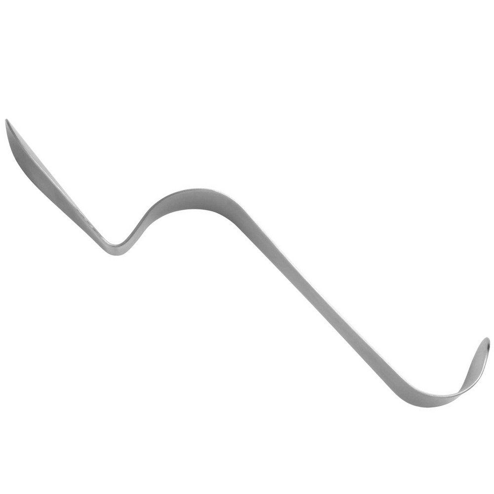 998-30-Wangen-und-Zungenabhalter-Bishop-ergonomische-Dentalinstrumente-fuer-Frauen-seite