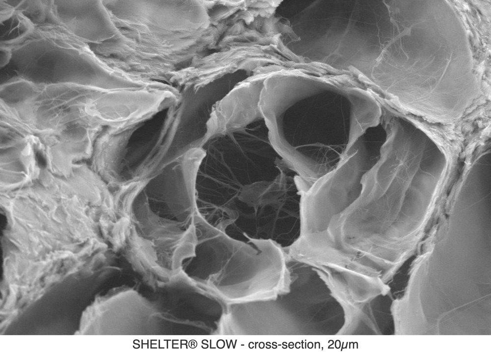 Perikardmembraan-Biometric-2-3