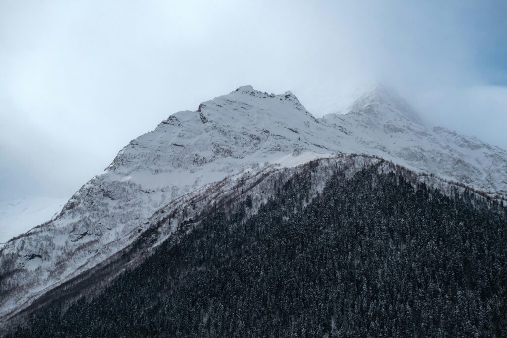 HAMBAARSTI PRAKTILINE ÕMBLUSTEHNIKA KURSUS  “Õmblusmaterjalide valik ja kasutamine”