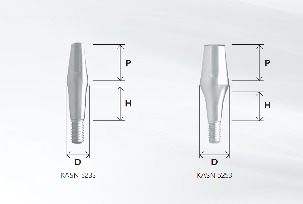 KASN-5233-ITS-OTIA-maaletooja-Biometric-2